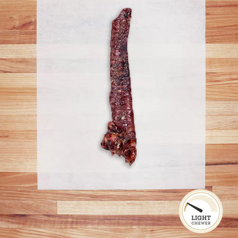 Dehydrated Hog Trachea - Single