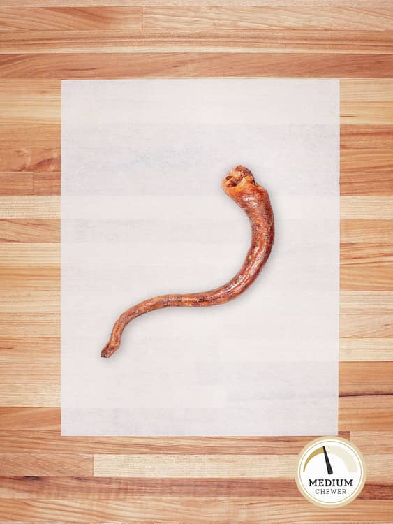 Dehydrated Hog Tail - Single