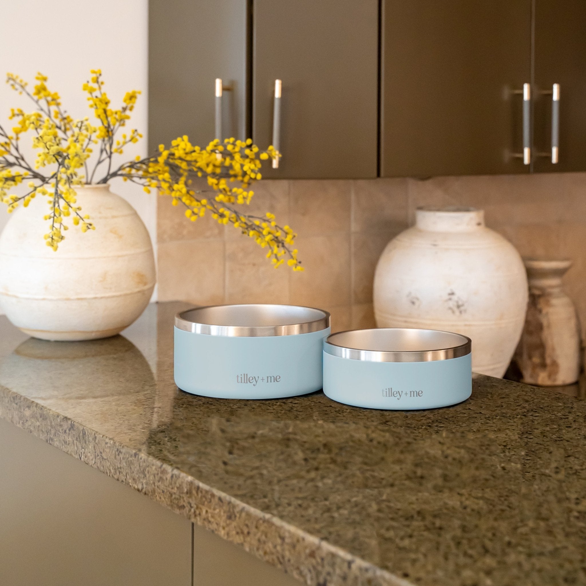 Stainless Steel Dog Bowl | Non-Slip Food & Water Bowl