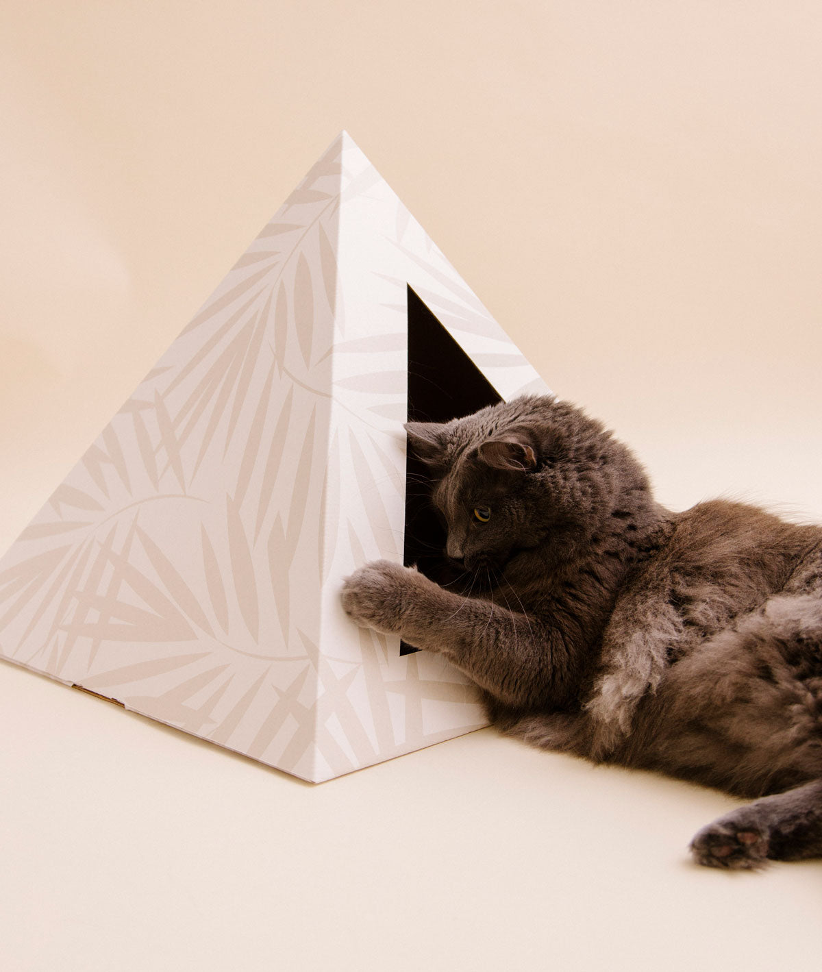 Pyramid-shaped cardboard cat bed with a cat inside on a beige background