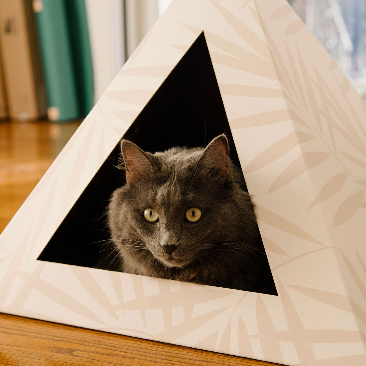 Cat peeking out from a triangular cutout cardboard house on a wooden floor.
