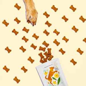 Gut healthy dog treats arranged on a beige background with a paw print and a card featuring a dog illustration.
