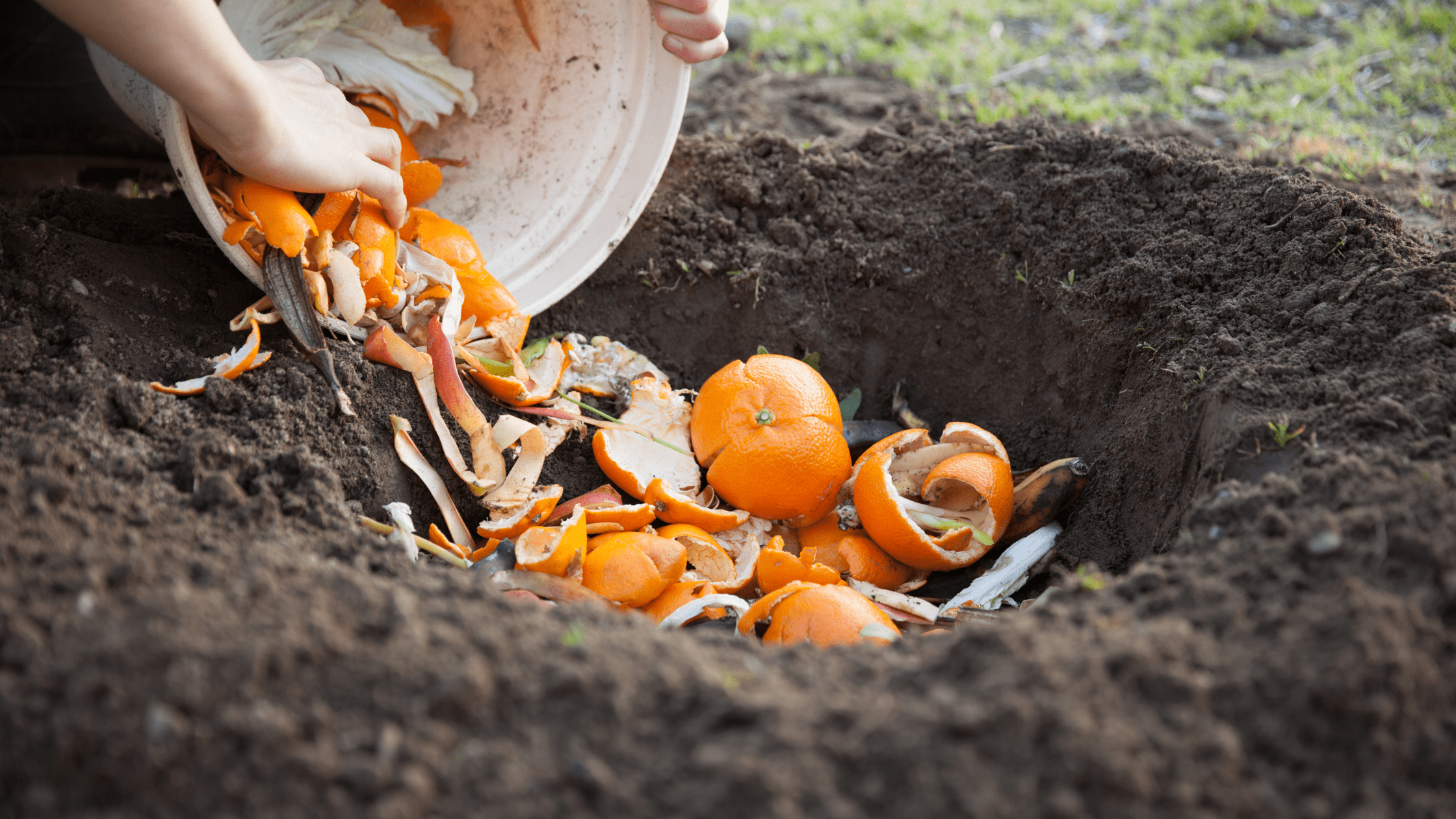 5 Ways to Compost Dog Hair & Cat Fur