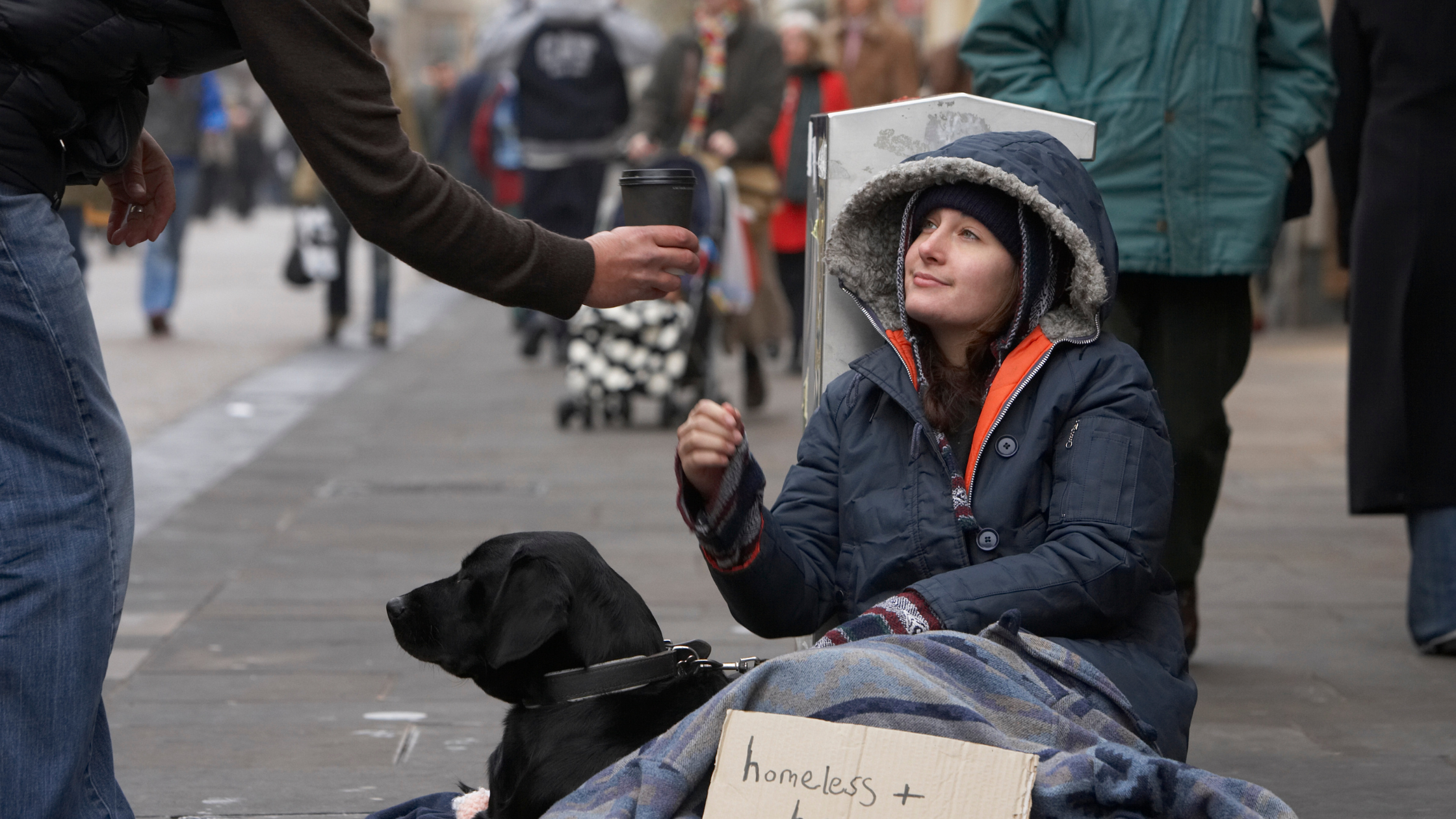 homeless woman sitting with her dog. Helping Domestic Violence Survivors and Their Pets