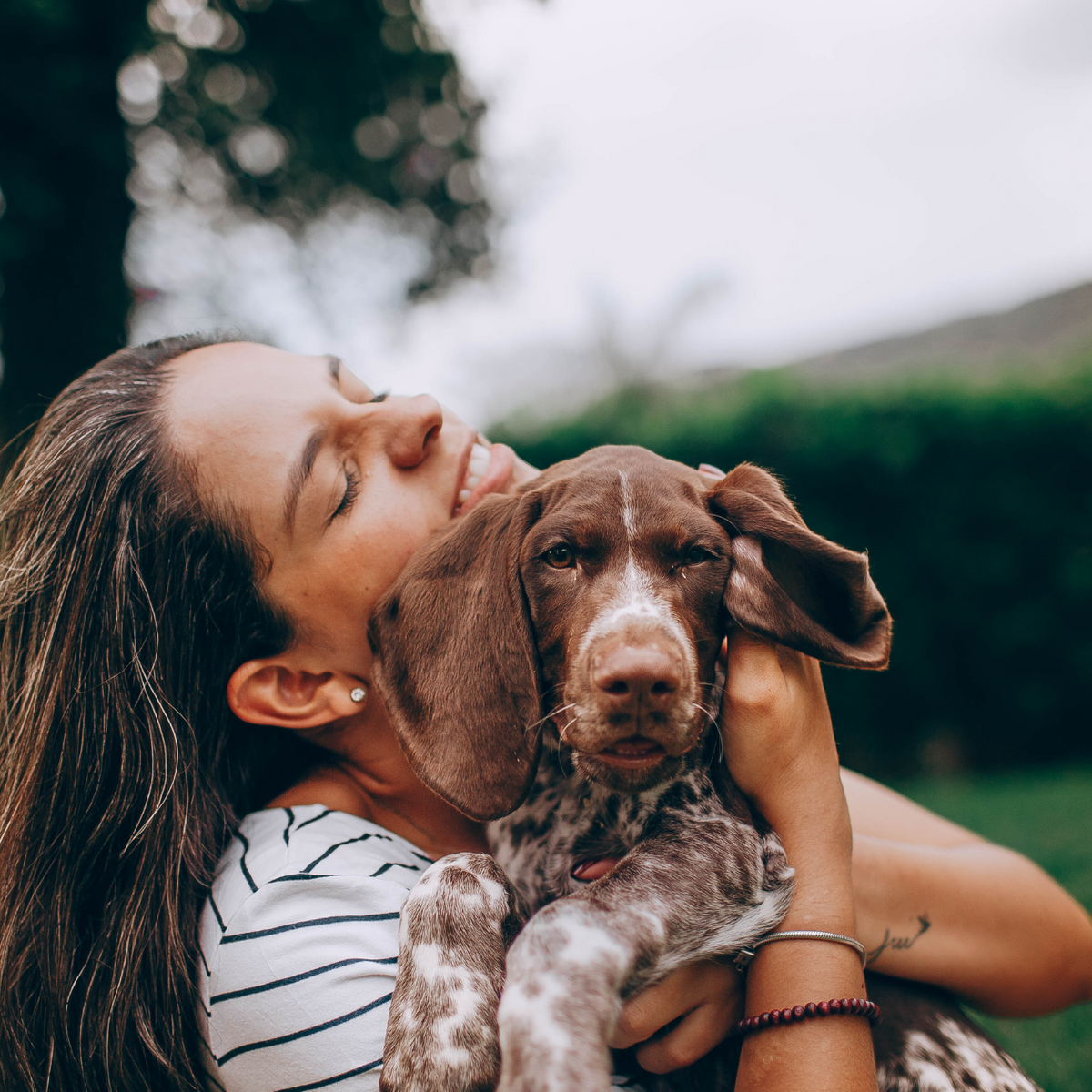 Homeopathic remedies for top seizures in dogs