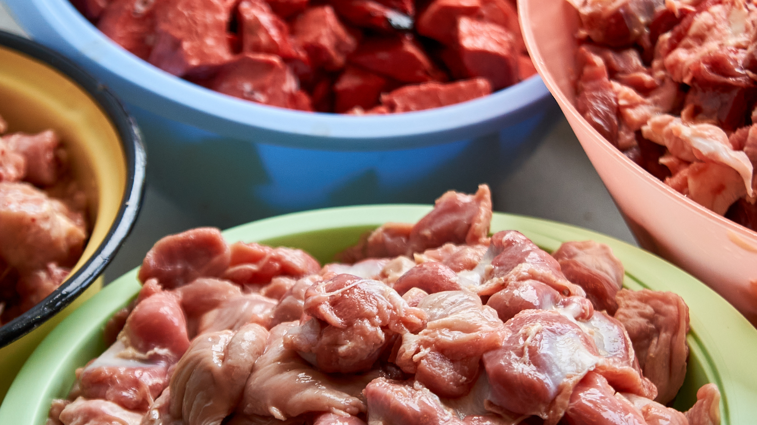 Why Not to Feed Your Dog a Raw Food Diet
