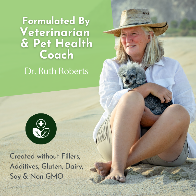 Woman sitting on sand holding a small dog with promotional text about a product by Dr. Ruth Roberts.