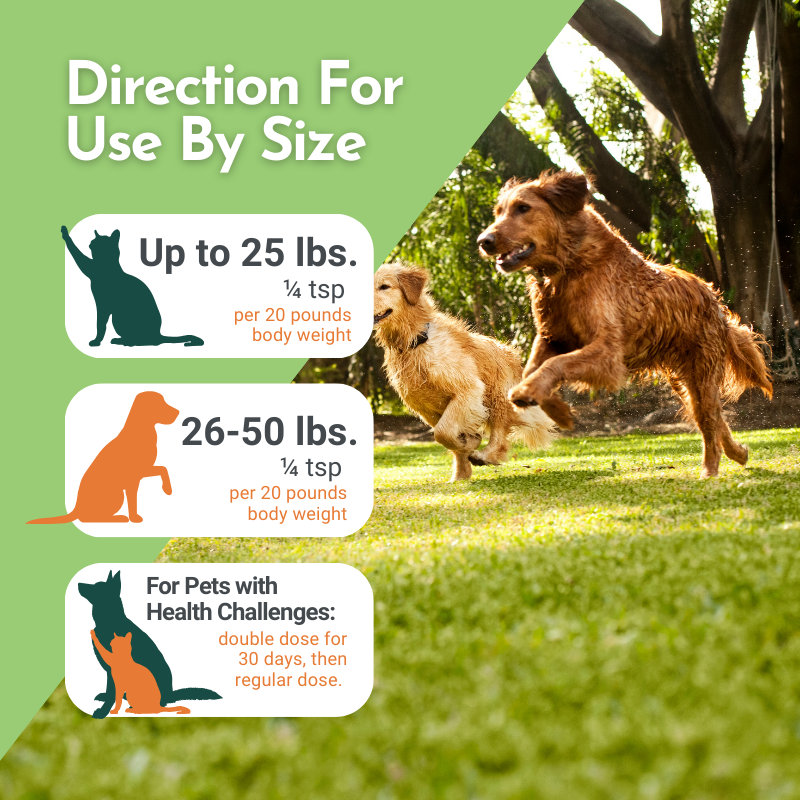 Dog and cat illustrations with dosing instructions on a green background