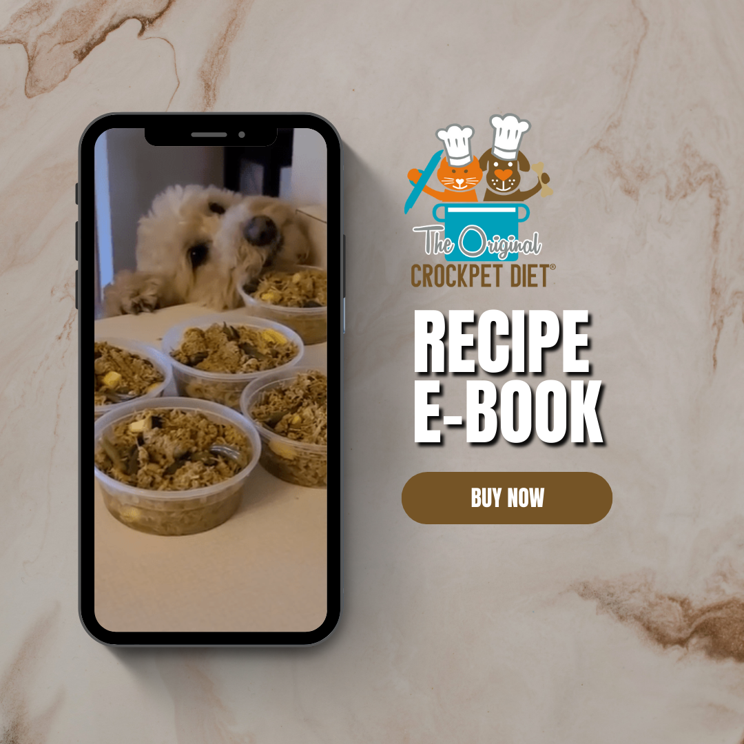 Veterinarian Approved Homemade Dog and Cat Food Recipes + eCourse