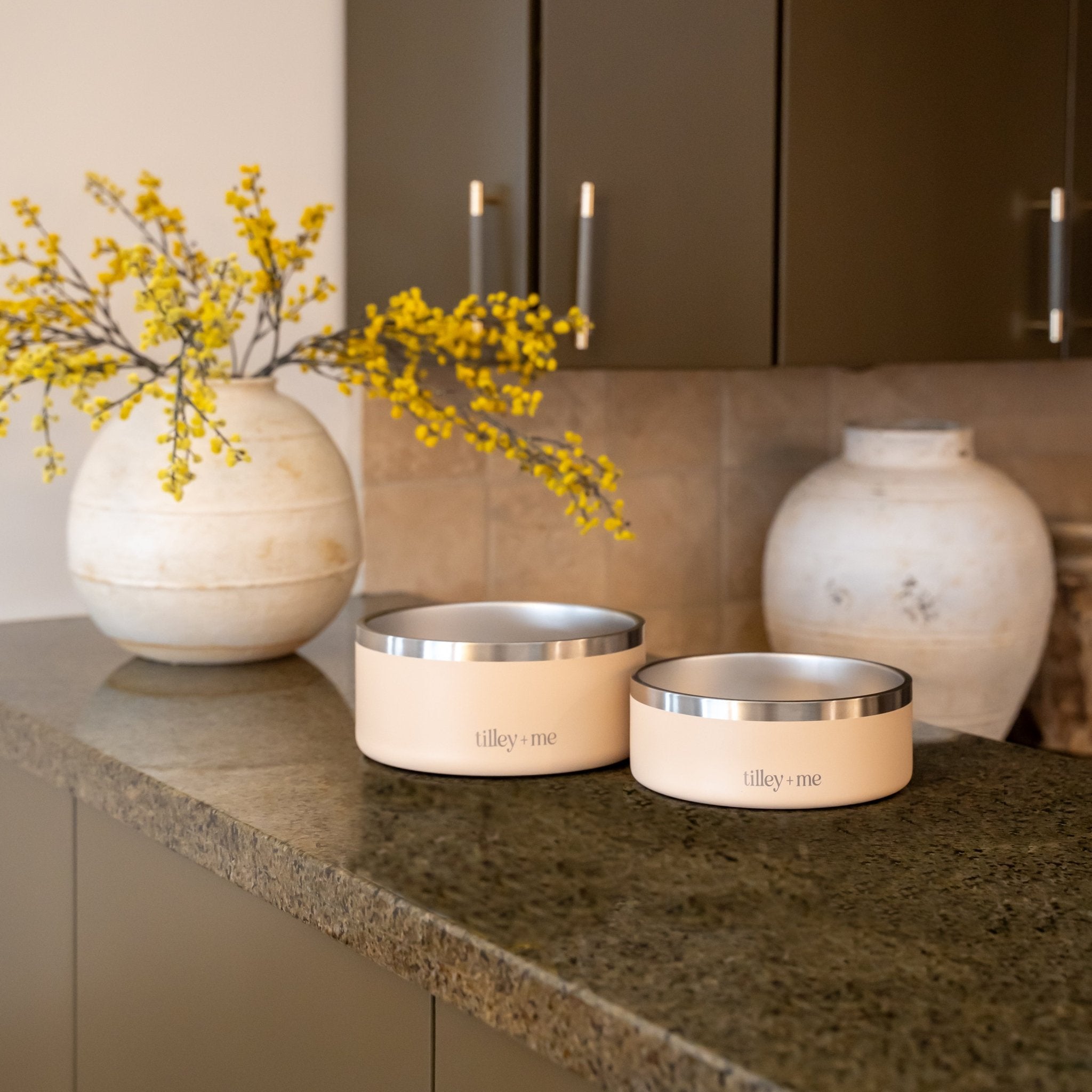 Stainless Steel Dog Bowl | Non-Slip Food & Water Bowl