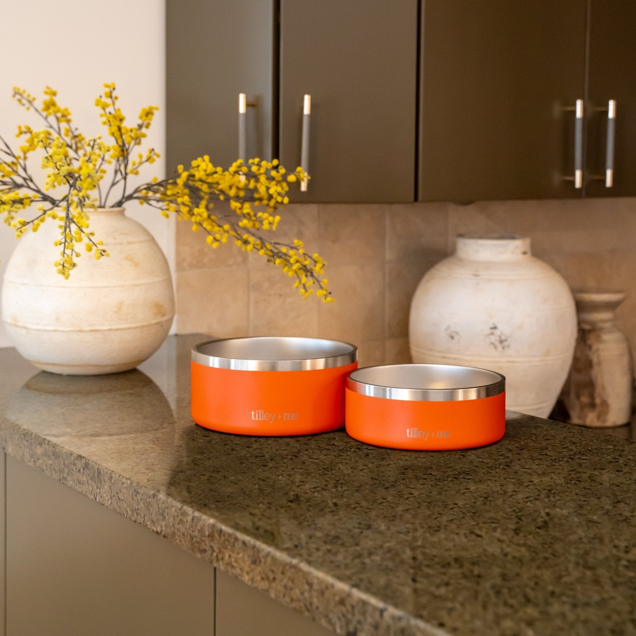 Stainless Steel Dog Bowl | Non-Slip Food & Water Bowl