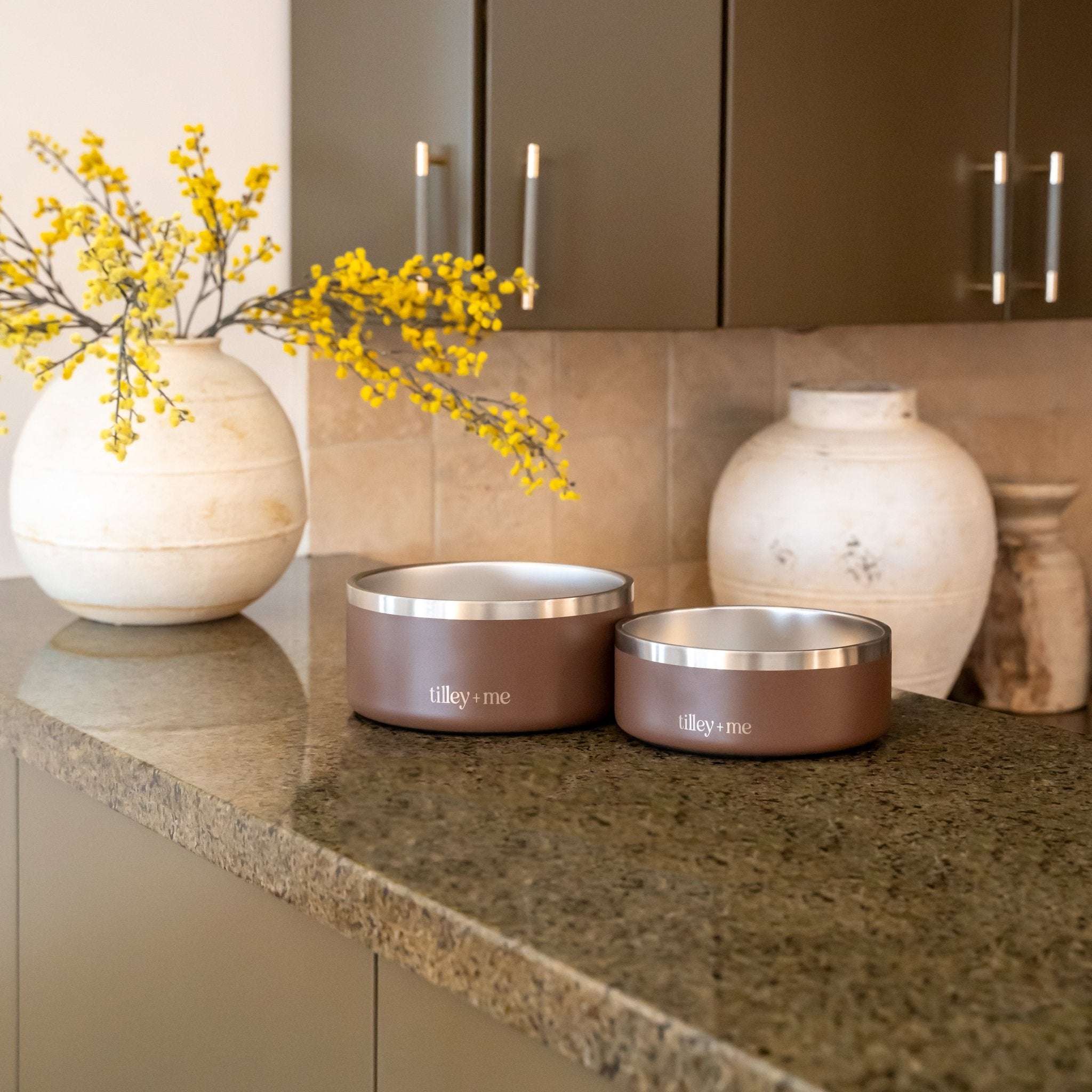 Stainless Steel Dog Bowl | Non-Slip Food & Water Bowl