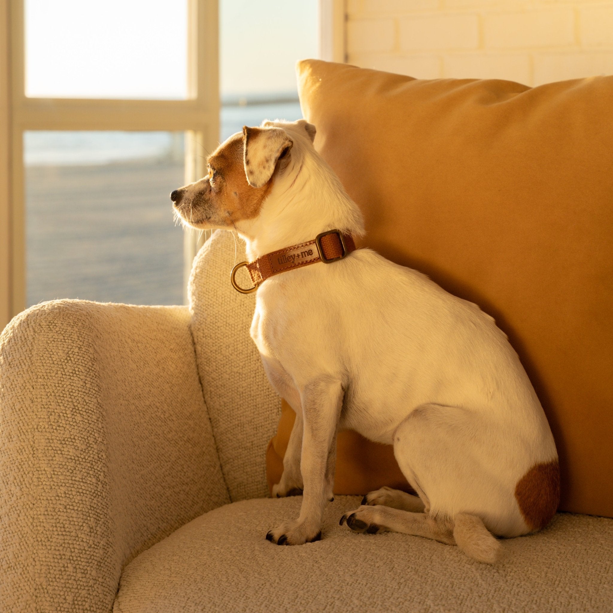 Cotton & Hemp Dog Collar | Adjustable Soft Fabric Dog Collar