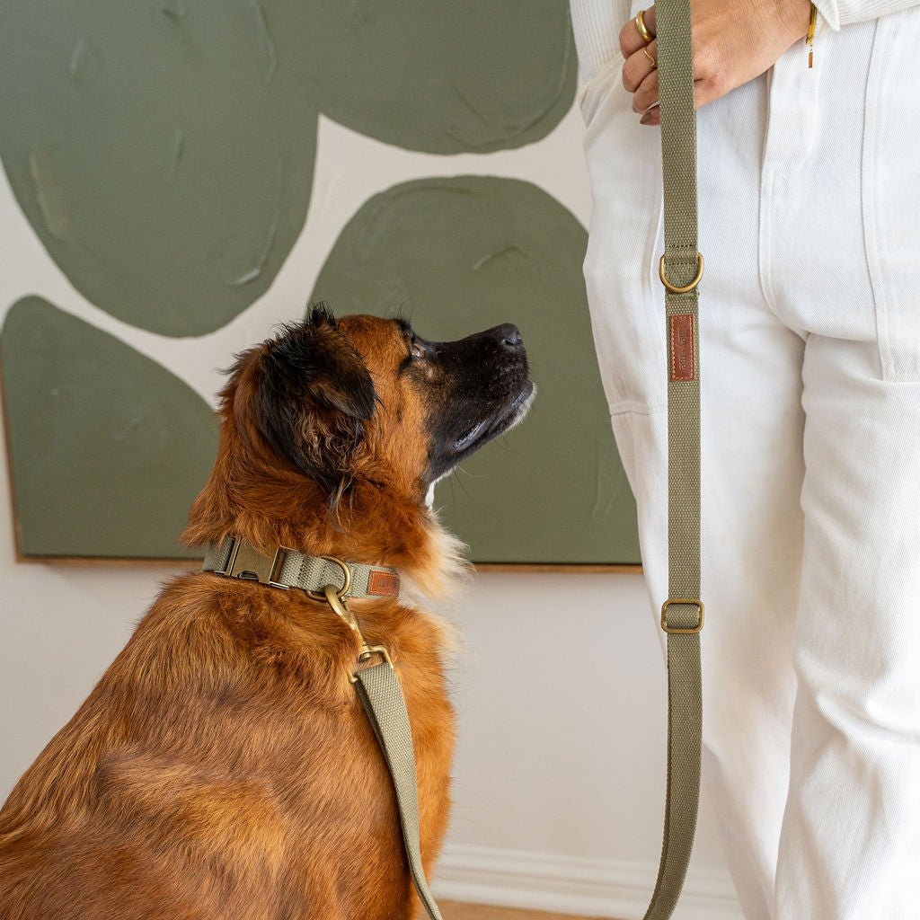 Cotton & Hemp Dog Collar | Adjustable Soft Fabric Dog Collar