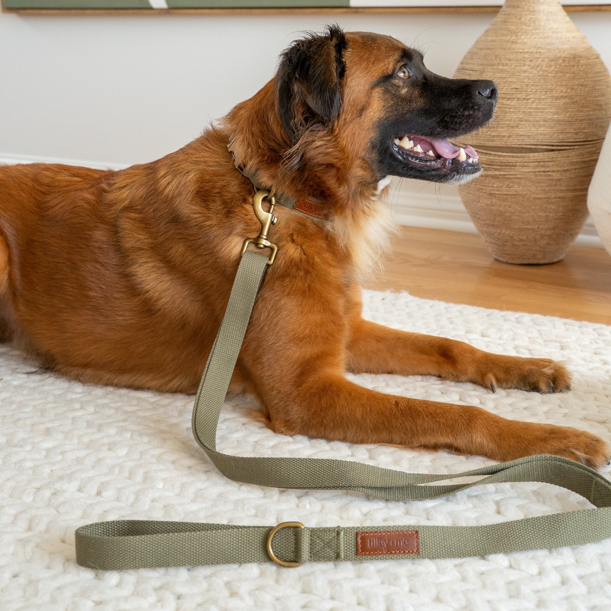 Cotton & Hemp Dog Collar | Adjustable Soft Fabric Dog Collar