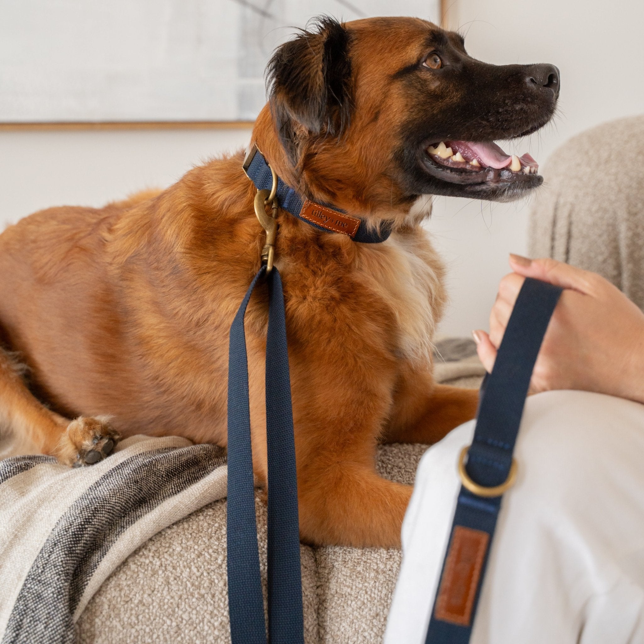 Hemp Cotton Dog Leash with Brass Attachments