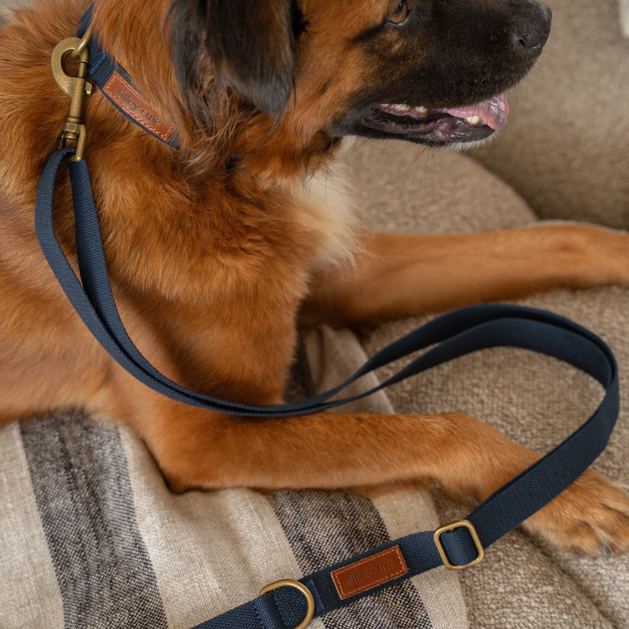 Cotton & Hemp Dog Collar | Adjustable Soft Fabric Dog Collar