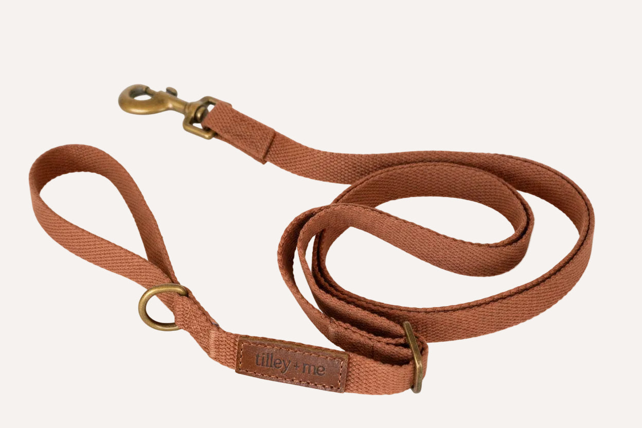 Hemp Cotton Dog Leash with Brass Attachments