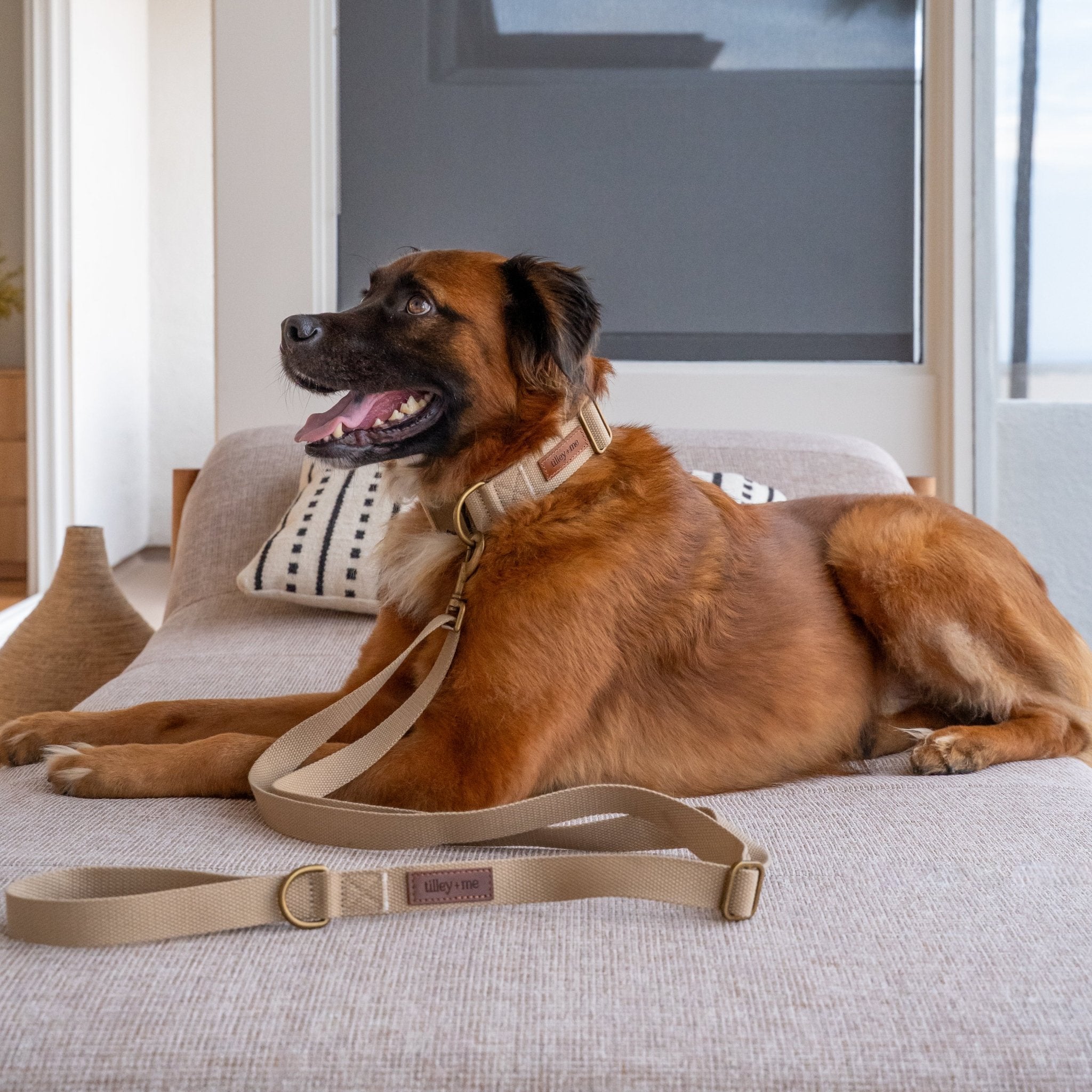Hemp Cotton Dog Leash with Brass Attachments