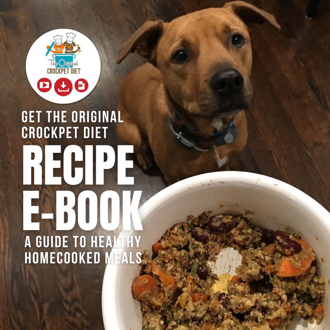 Veterinarian Approved Homemade Dog and Cat Food Recipes + eCourse