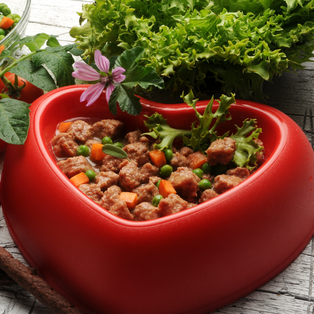 Veterinarian Approved Homemade Dog and Cat Food Recipes + eCourse