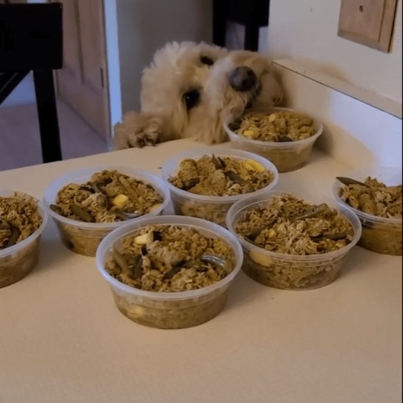 Veterinarian Approved Homemade Dog and Cat Food Recipes + eCourse