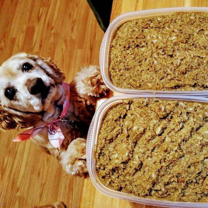 Veterinarian Approved Homemade Dog and Cat Food Recipes + eCourse