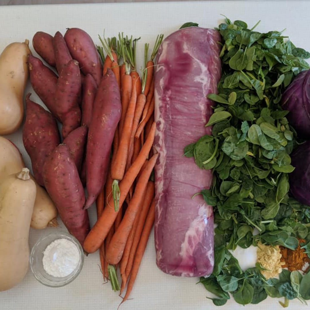 Veterinarian Approved Homemade Dog and Cat Food Recipes + eCourse