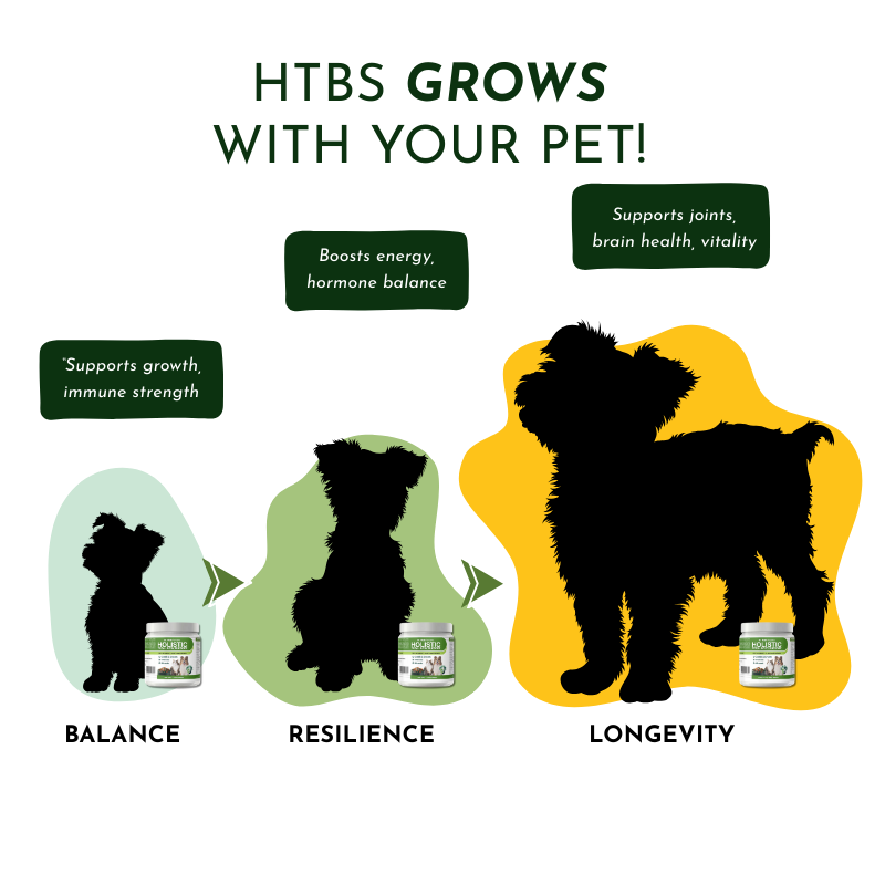 Diagram showing the stages of a pet's growth with corresponding product benefits on a white background.