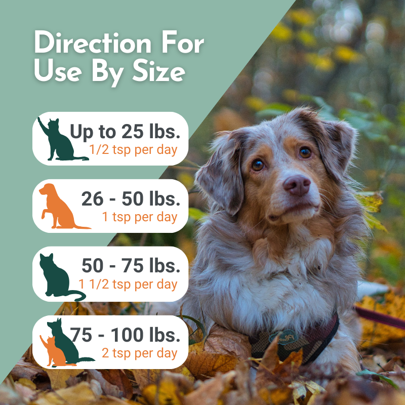 Dog sitting outdoors with dosage instructions for a pet product on a green background