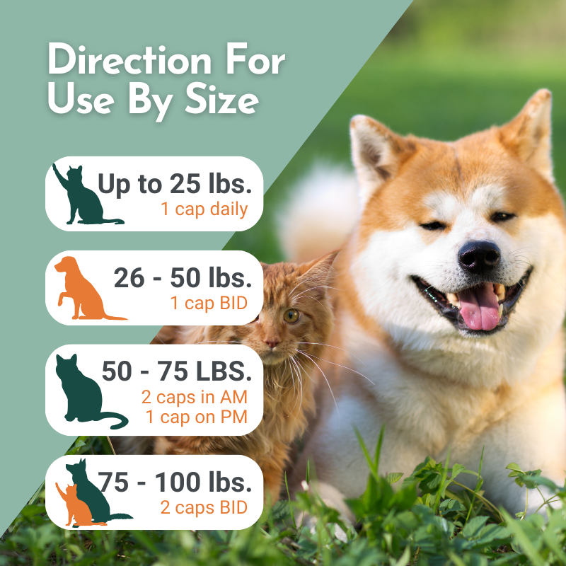 Dog and cat in grass with dosage instructions for a pet supplement.