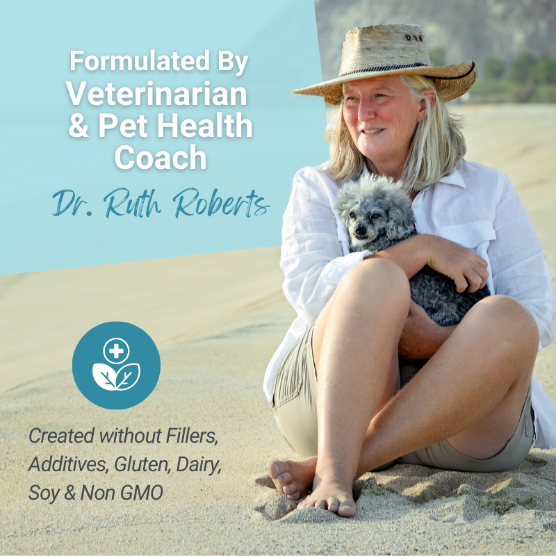 Woman sitting on sand holding a small dog with text about a veterinarian and pet health coach, Dr. Ruth Roberts.