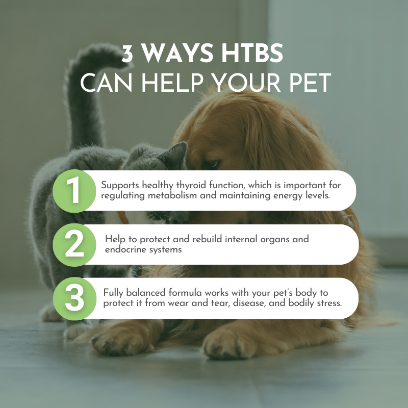 Two dogs lying down with text about HTBS benefits for pets on a light background