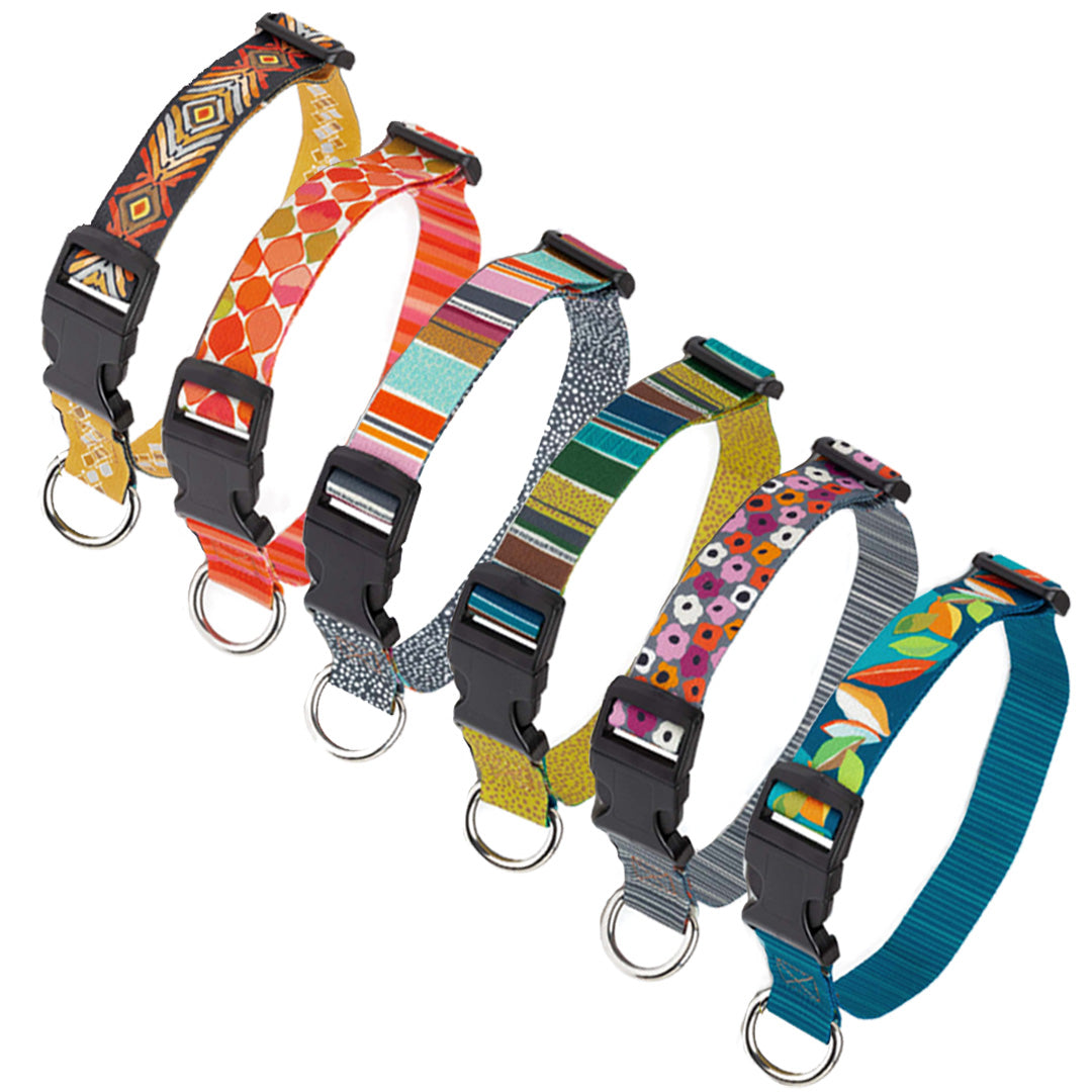 Set of colorful dog collars on a white background
