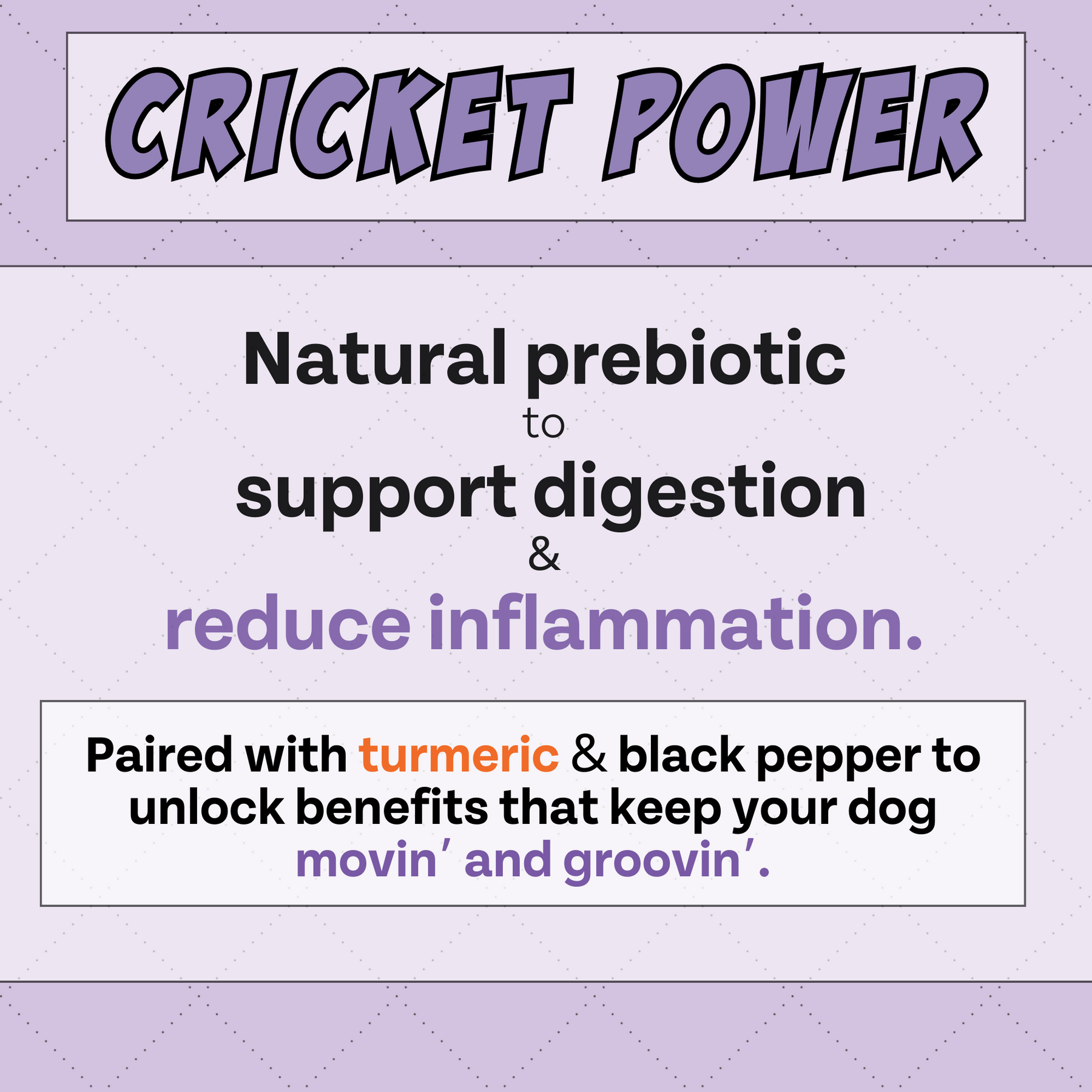 Cricket powder title with mention of natural prebiotic and digestive support to reduce inflammation.