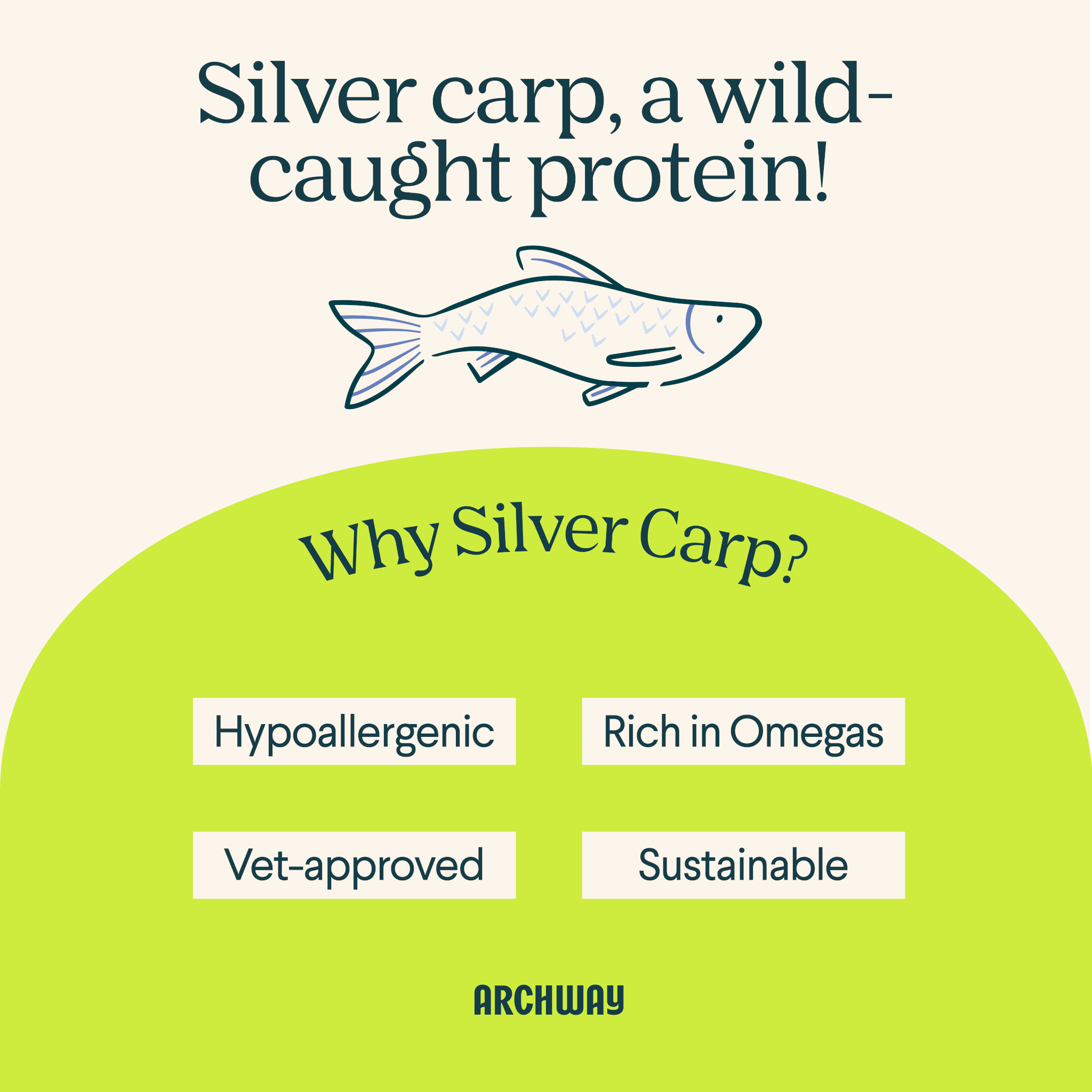 Silver Carp Hypoallergenic Dog Food with Grains
