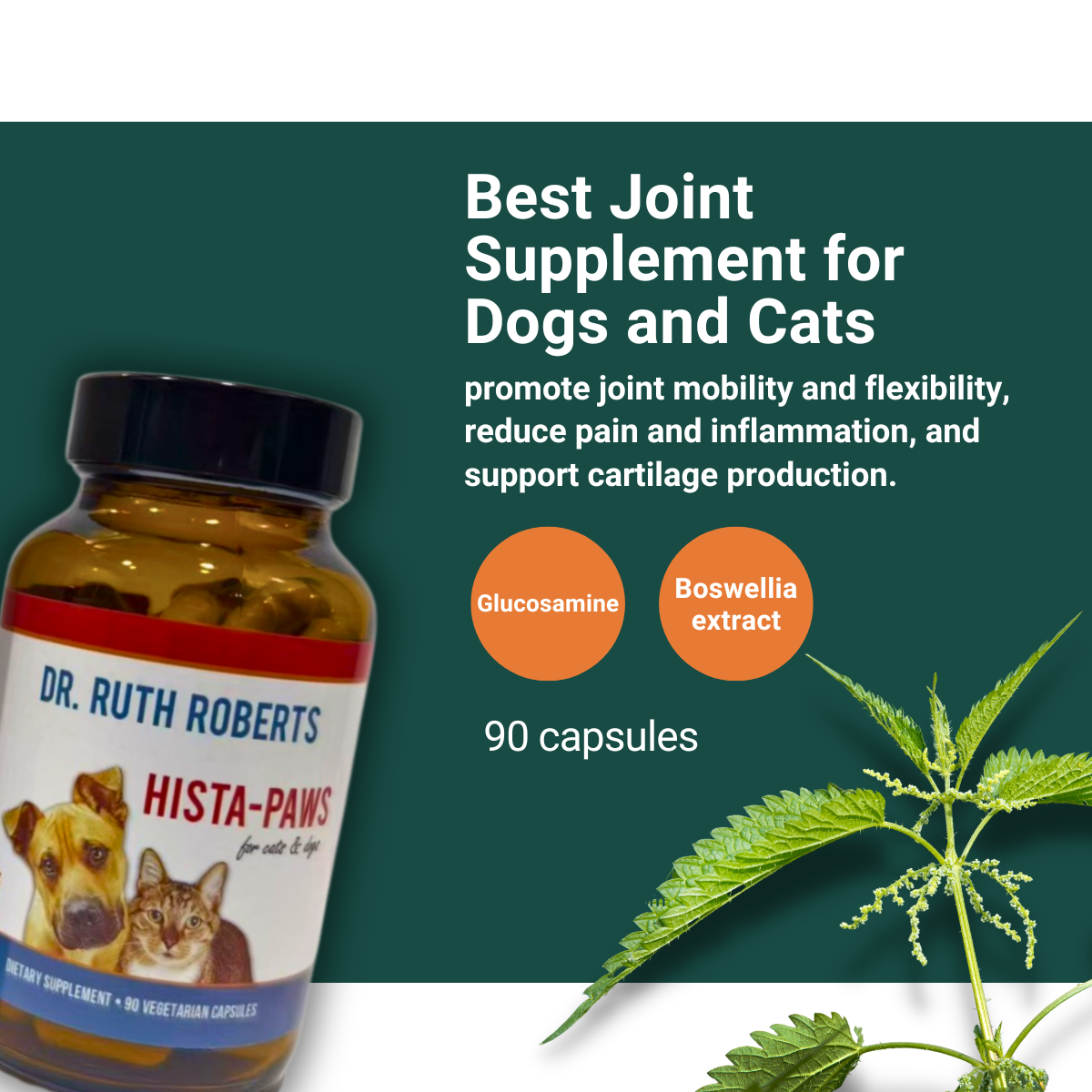 Dr. Ruth Roberts Hista-Paws joint supplement for dogs and cats with a green background