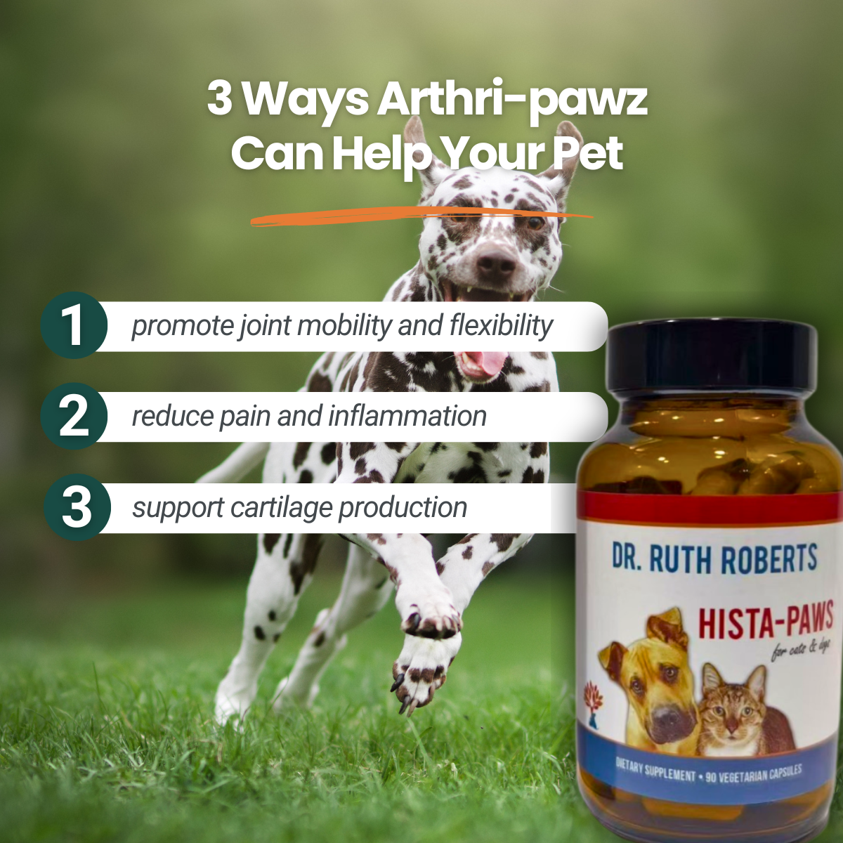 Dog running on grass with a bottle of Dr. Ruth Roberts Hista-Paws supplement and text about its benefits.