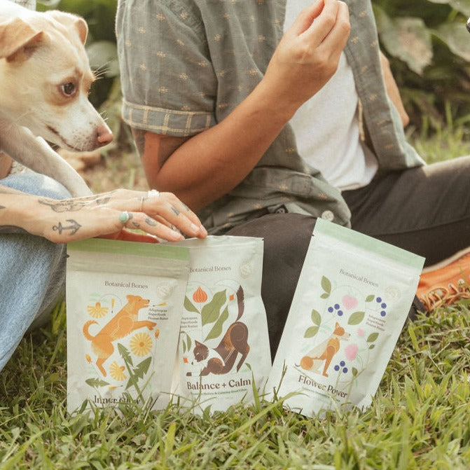 Person sitting on grass with a dog, holding 'Flower Power' and 'Balance + Calm' packages of vegetable based dogs treats from Botanical Bones.