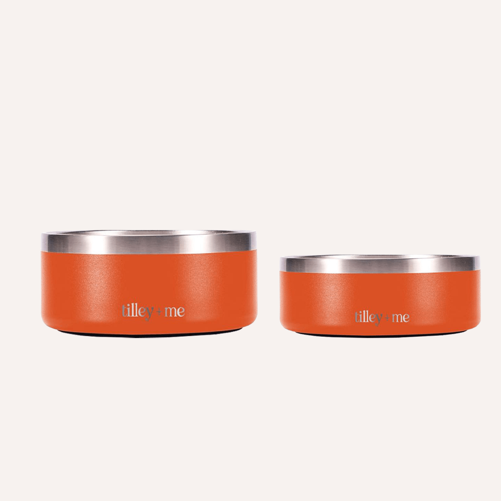 Stainless Steel Dog Bowl | Non-Slip Food & Water Bowl