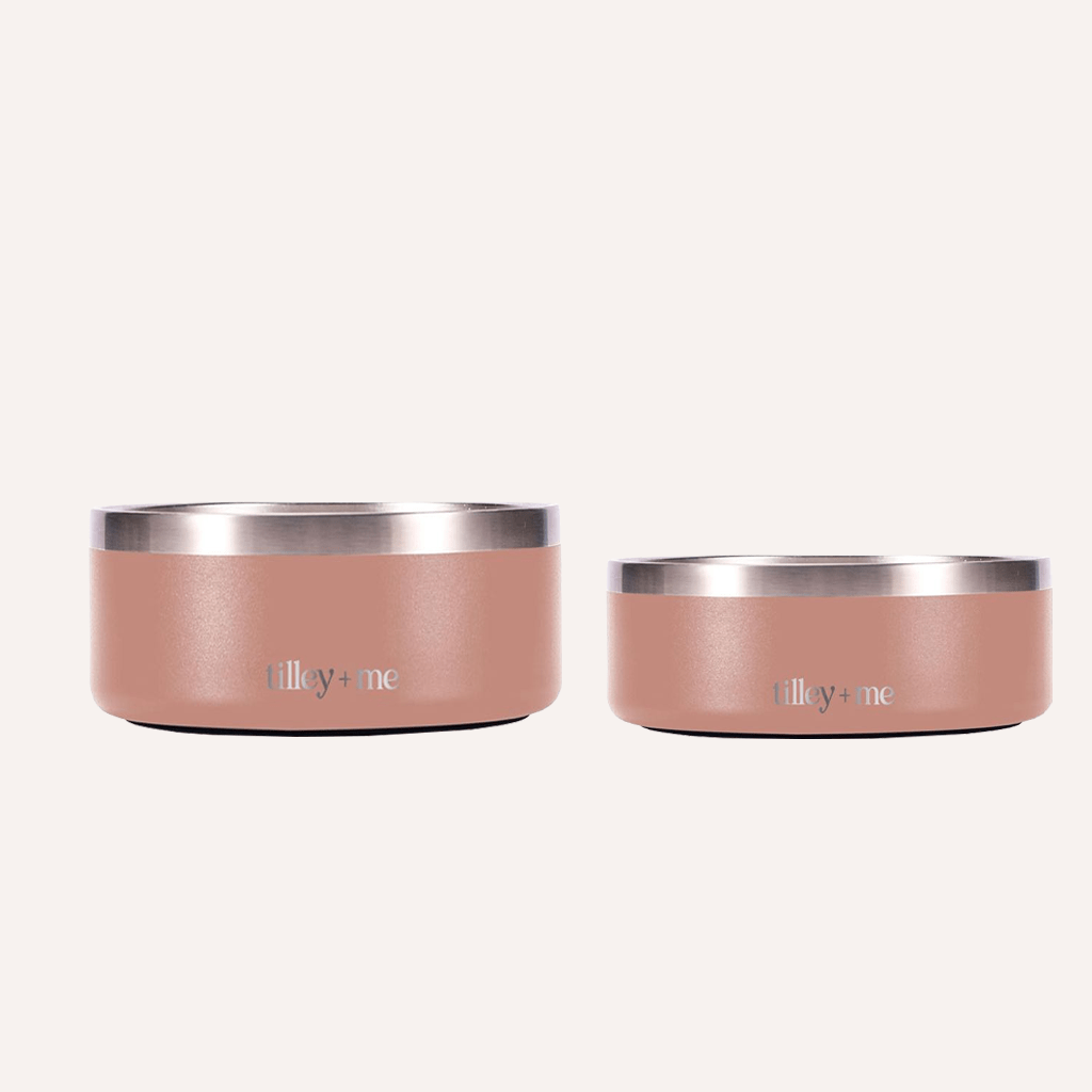 Stainless Steel Dog Bowl | Non-Slip Food & Water Bowl