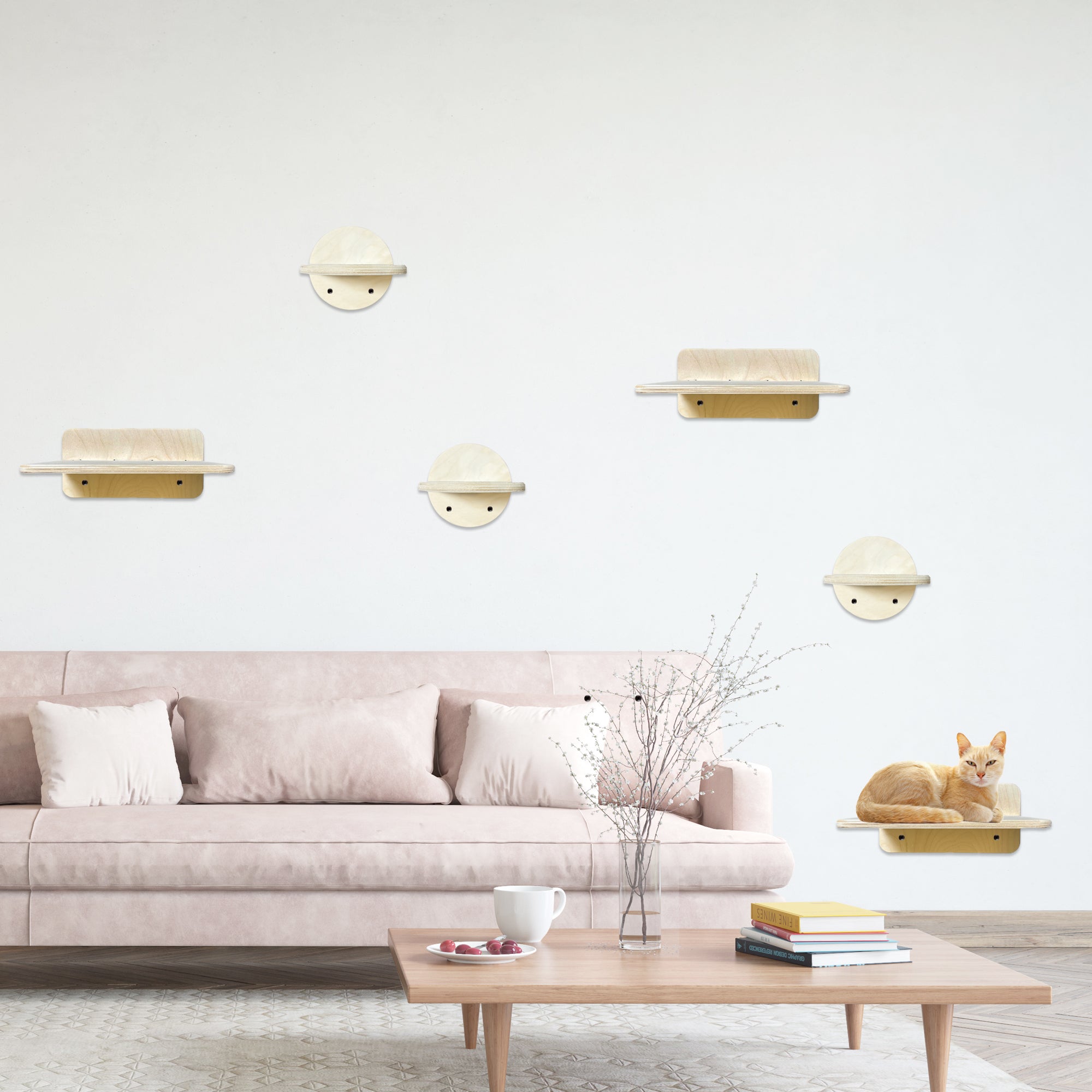 Modern living room with light-colored sofa, coffee table, and wall-mounted 
wood cat wall shelves.