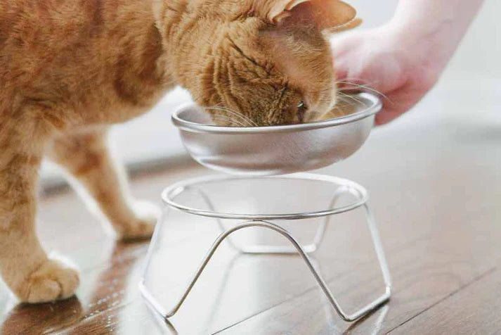 Cat drinking from a elevated metal food bowl on a wooden floor.