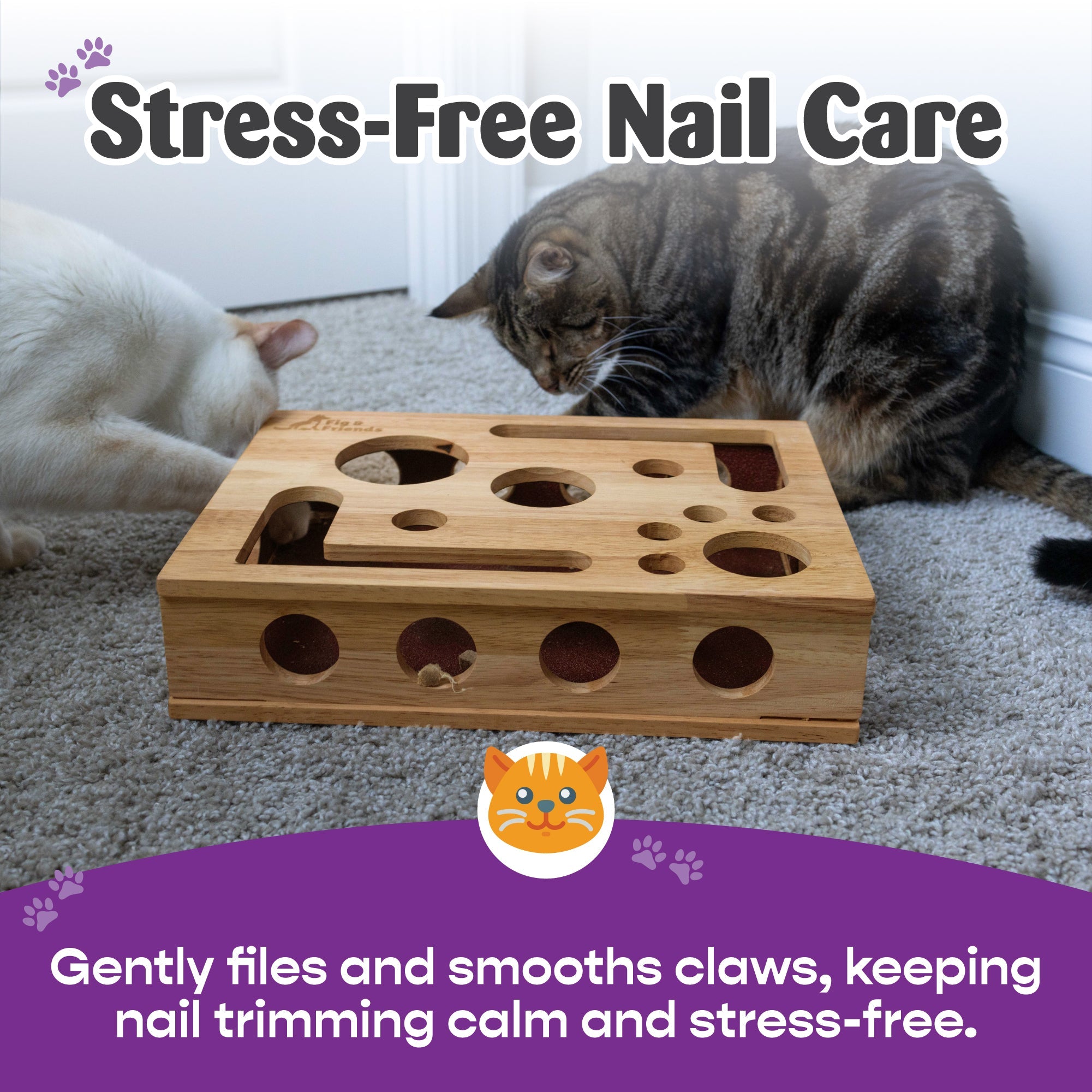 Cat Nail File Box | Interactive Cat Enrichment Toy