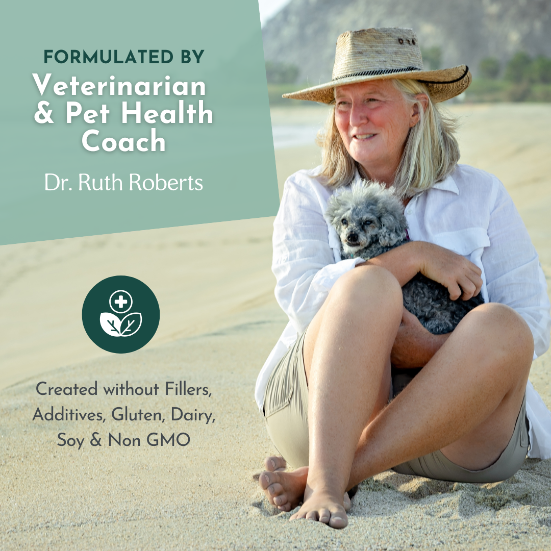 Veterinarian Approved Homemade Dog and Cat Food Recipes + eCourse