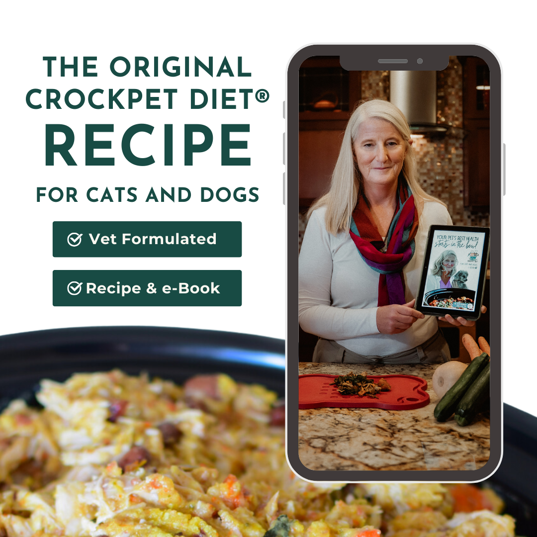 Veterinarian Approved Homemade Dog and Cat Food Recipes + eCourse