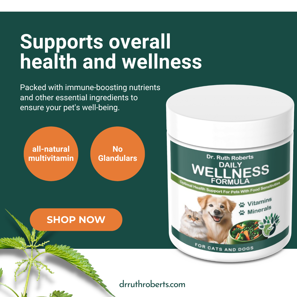 Dr. Ruth Roberts Daily Wellness Formula for pets on a green background with text about product benefits.