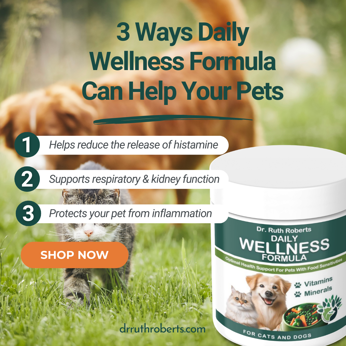 Advertisement for Dr. Ruth Roberts' Daily Wellness Formula with a cat and dog in the background.