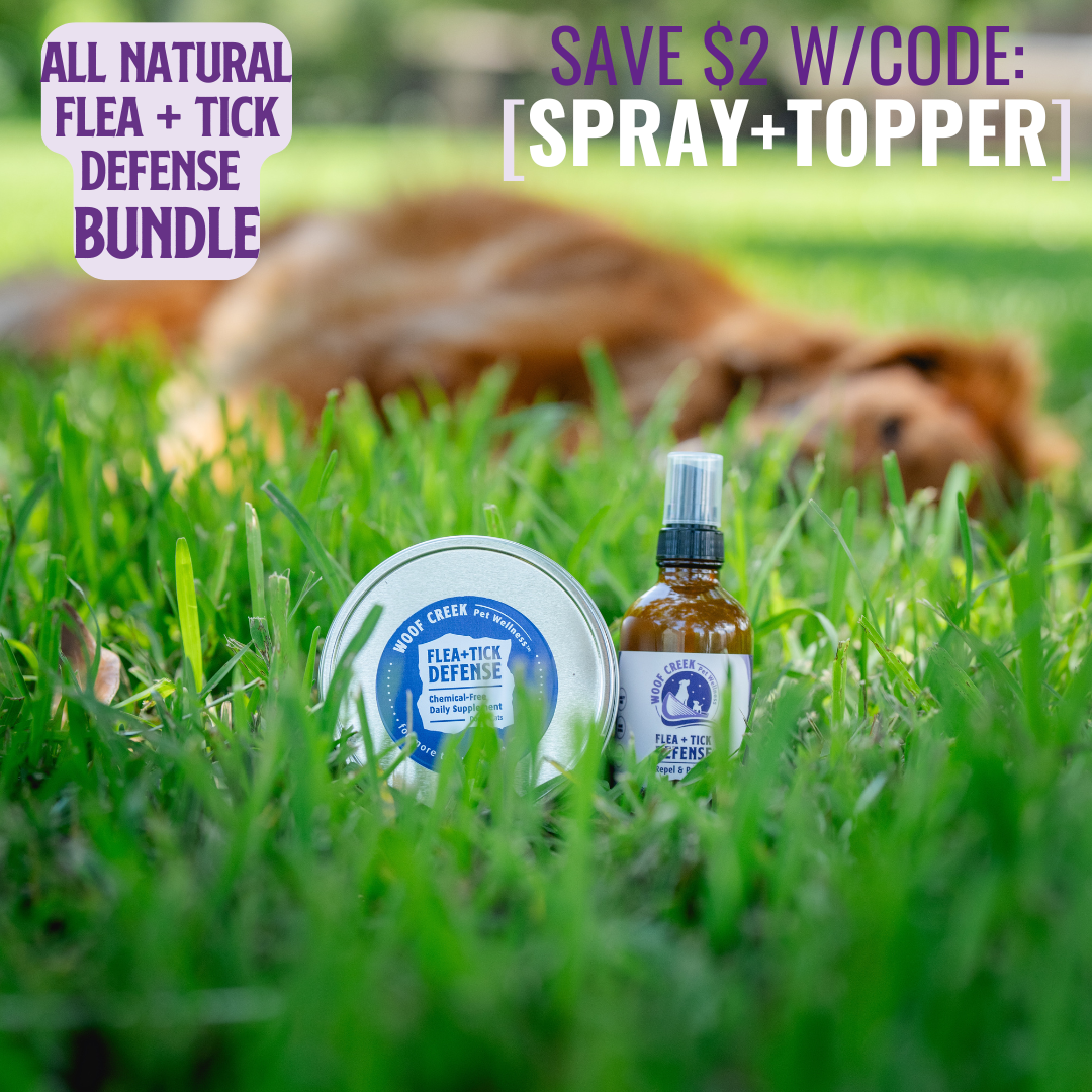Flea and tick defense products on grass with a dog in the background
