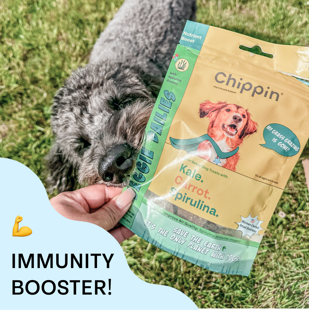 Doodle taking a bit out of the Chipping Veggie Dalilies bag and it says immunity booster.